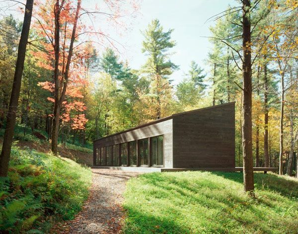 Sixteen_Doors residence (3) Sixteen Doors residence 3 Comfort Meets Surprise in a Charming Forest Home: Sixteen Doors House